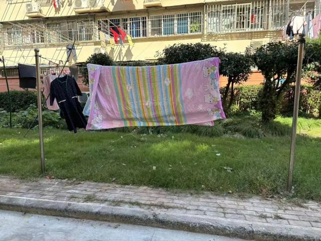 向心力提升居民幸福感凯发赛事合作文明凝聚(图2)