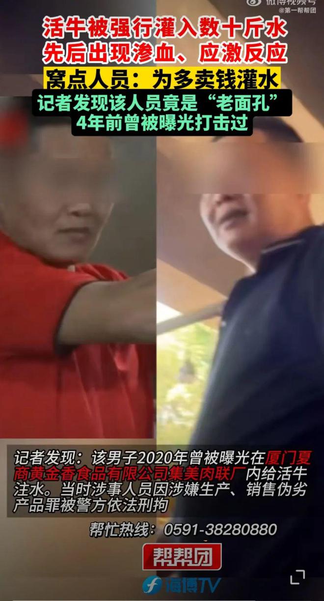 十斤水！多部分开展执法行动为多卖钱活牛被强行灌入数