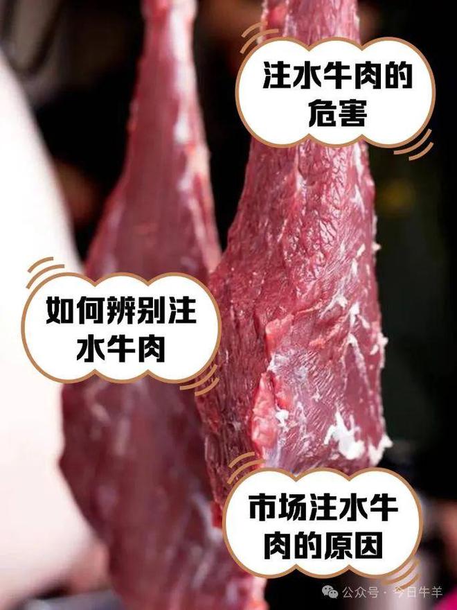 十斤水！多部分开展执法行动为多卖钱活牛被强行灌入数(图2)